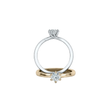 Anillo Essence