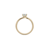 Anillo Essence