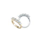 Paradise Ring