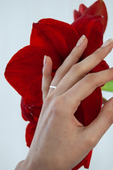 KLASSISCHER FLACHER EHERING AUS WEISSGOLD