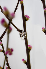 KLASSISCHER HALBRUNDER EHERING AUS WEISSGOLD