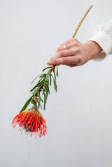 WEICHER HOCHFLACHER EHERING AUS WEISSGOLD