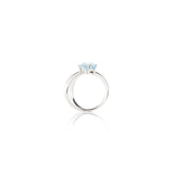 CARINA-RING