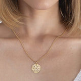 Collar Vegvisir - Nanna Folk