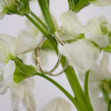 Alianza de boda Almendrada en oro blanco 18k