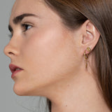 Tiny cowrie earrings